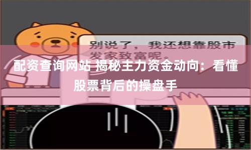 配资查询网站 揭秘主力资金动向：看懂股票背后的操盘手