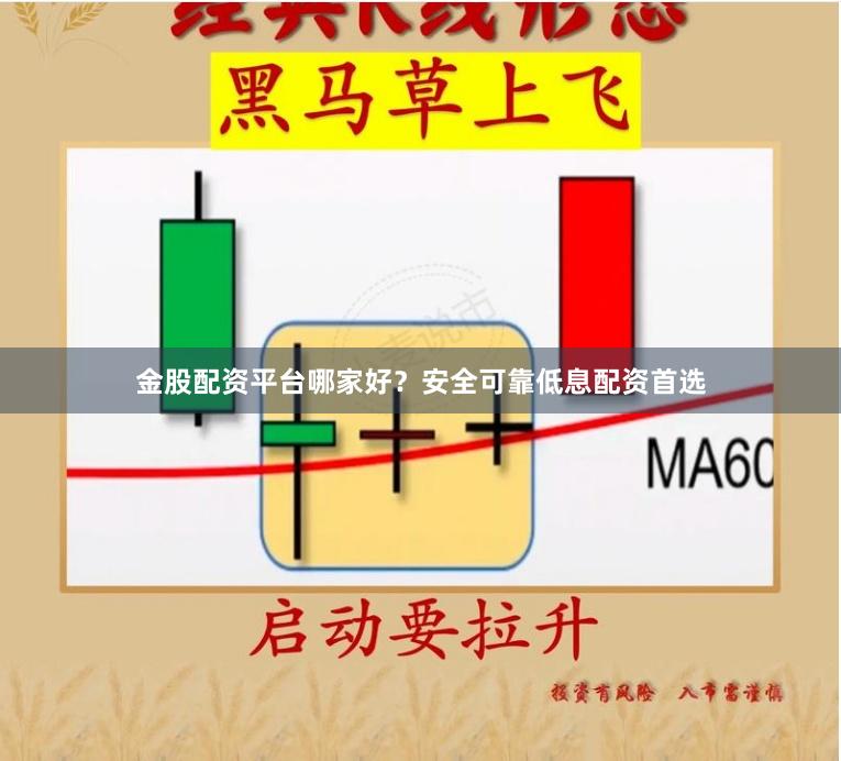 金股配资平台哪家好？安全可靠低息配资首选