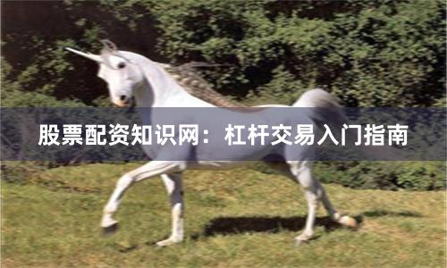 股票配资知识网:杠杆交易入门指南